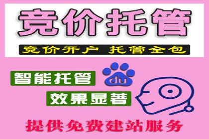 SEM代运营推广公司案例，揭秘高效广告投放策略